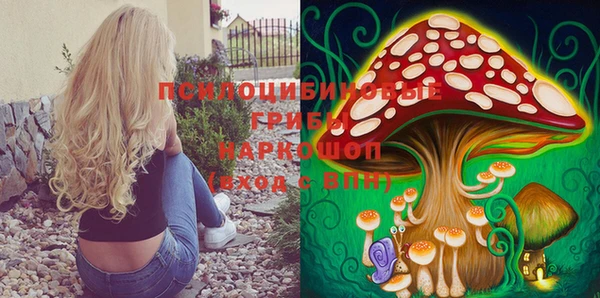 экстази Козловка