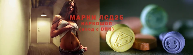 молекула духа Осташков