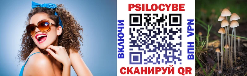 kraken ТОР  сайты даркнета официальный сайт  Псилоцибиновые грибы ЛСД  где найти наркотики  Мончегорск 