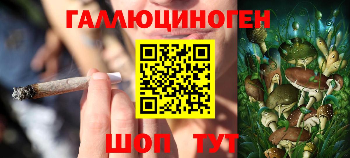 Псилоцибиновые грибы Psilocybine cubensis  Псилоцибиновые грибы Psilocybe  Мончегорск  Вход с VPN 