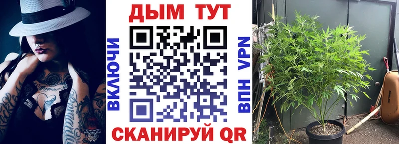 Шишки марихуана Bruce Banner  Мончегорск 